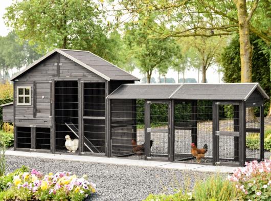 Holiday Large Black chicken coop with 2 runs and nesting box 515x100x195cm