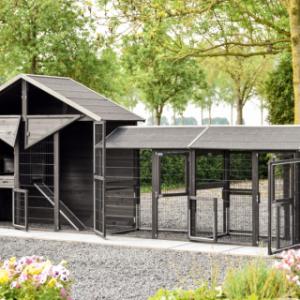 With its many doors and sliding tray, the Holiday Large chicken coop is especially user-friendly