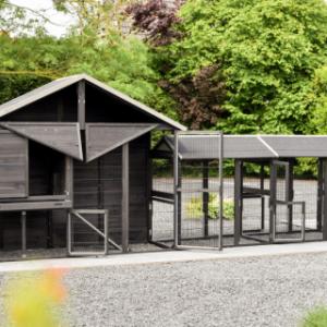 With its many doors and sliding tray, the Holiday Large chicken coop is especially user-friendly