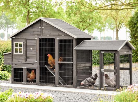 Chickencoop Holiday Large with run and laying nest 388x93x195cm
