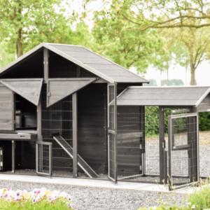 With its many doors and sliding tray, the Holiday Large chicken coop is especially user-friendly