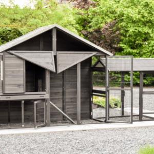With its many doors and sliding tray, the Holiday Large chicken coop is especially user-friendly