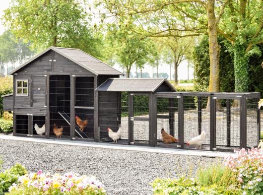 Holiday Large Duo Black chicken coop with nesting box and extension runs 564x100x195cm
