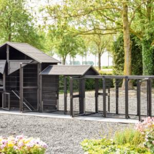 With its many doors and sliding tray, the Holiday Large chicken coop is especially user-friendly