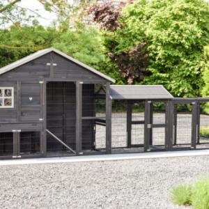 Holiday Large Duo Black chicken coop with nesting box and extension runs
