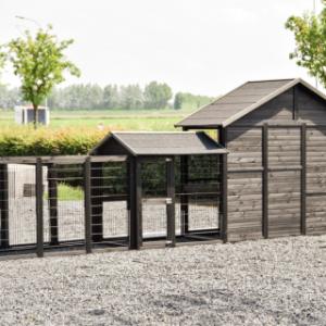 The chickencoop Holiday Large has a fully wooden backside