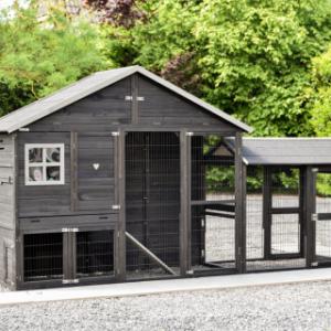 Holiday Large rabbit hutch with extra run