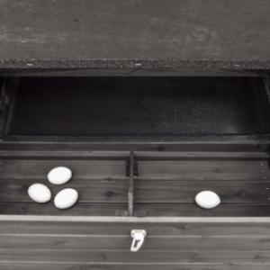 The nesting box of the Holiday Large chicken coop is divided into 2 sections