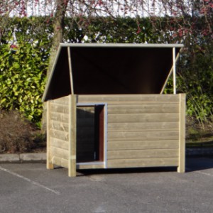 Loebas: Large doghouse, high pressure treated wood and hinged roof