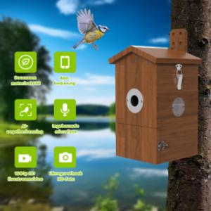 Various benefits of the bird nesting box with camera