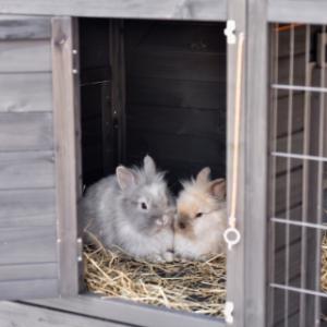 The sleeping compartment of rabbit hutch Holiday Medium is suitable for 2 à 4 rabbits