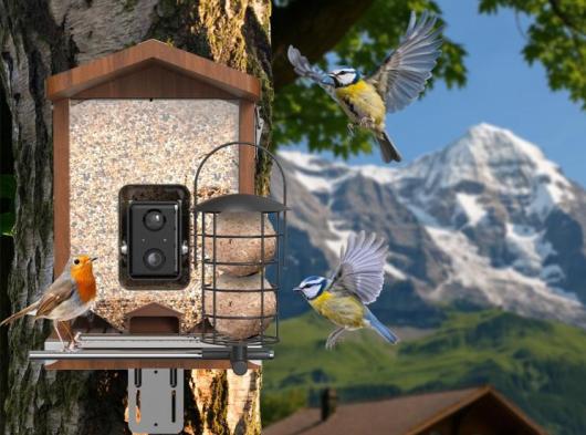 Sanilu bird feeder with camera and solar panel