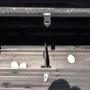 The nesting box of the Holiday Medium Black is divided into 2 sections