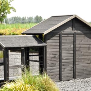 Have a look on the backside of chickencoop Holiday Medium