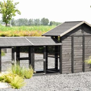 Have a look on the backside of chickencoop Holiday Medium