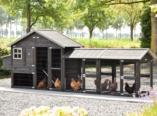 Chickencoop Holiday Medium Black mit 2 Ausläufe und Legenest 400x88x151cm