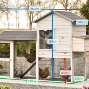 Various dimensions of the chickencoop Prestige Large