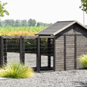 Chickencoop Holiday Medium Black with nest box and run Functional | backside