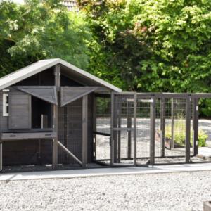 Chickencoop Holiday Medium Black with nest box and run Functional | chickencoop with large run