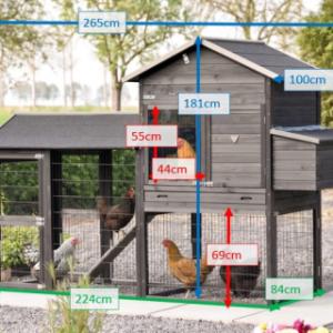 Various dimensions of the chickencoop Prestige Large