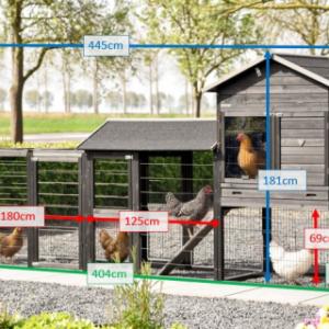 Various dimensions of the chickencoop Prestige Large