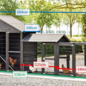 Various dimensions of the chickencoop Holiday Large Duo