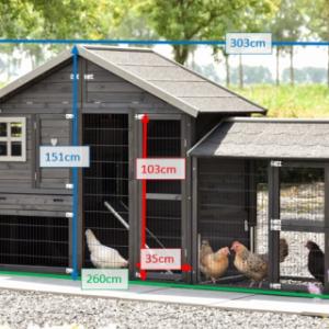 Various dimensions of the chickencoop Holiday Medium