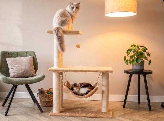 Cat tree Krusty 75x40x96cm