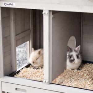 The sleeping compartment of the rabbit hutch Prestige Small is suitable for 2 rabbits