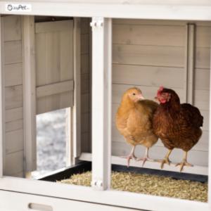 The sleeping area of the chicken coop Prestige Small is equipped with a perch