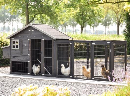 Chickencoop Holiday Medium Black with nest box and run Functional 389x88x151cm