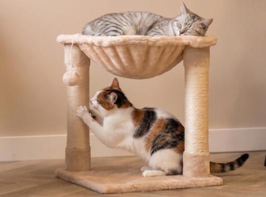 Cat tree Kizzy 40x40x47cm
