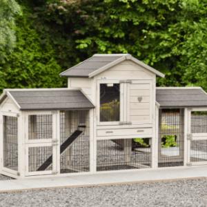 The rabbit hutch Prestige Small Light-grey is extended with 2 runs
