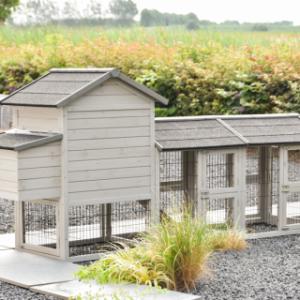 Have a look on the backside of chickencoop Prestige Small Light-grey