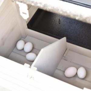 The laying nest of the Prestige Small chicken coop is divided into two sections