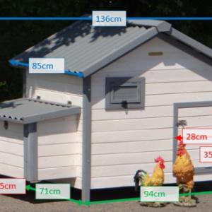 Various dimensions of the chickencoop Lotte