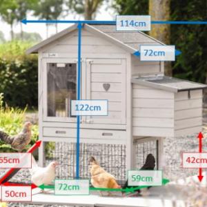 Various dimensions of the chickencoop Prestige Small