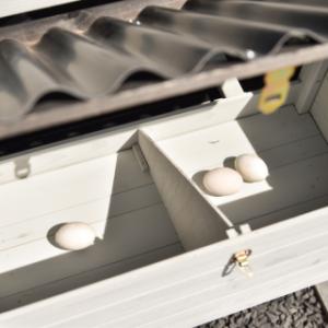 Julia Chicken Coop | The nesting box can be divided into two sections
