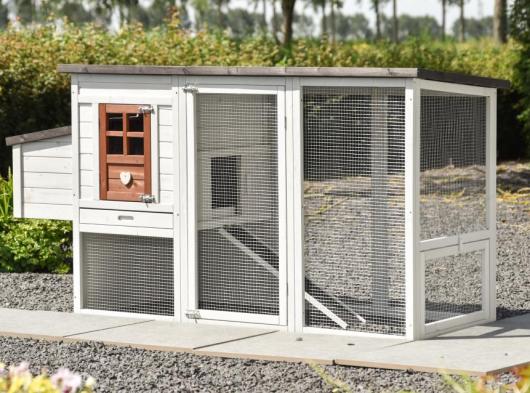 Julia Terra chicken coop with plastic roof and nesting box, 200 × 75 × 104 cm
