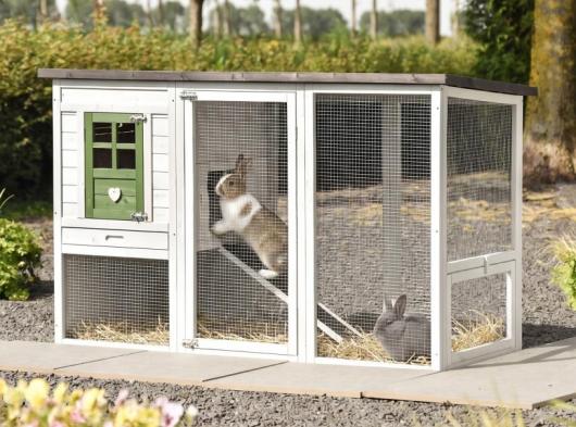 Rabbit hutch  Julia Olive 169x75x104cm