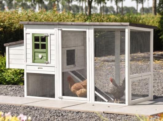 Julia Olive chicken coop with plastic roof and nesting box, 200 × 75 × 104 cm