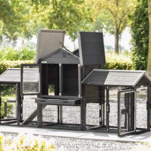 The rabbit hutch Prestige Small has many doors
