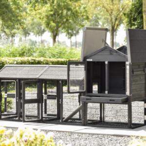 The rabbit hutch Prestige Small has many doors