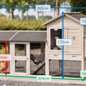 Various dimensions of chickencoop Prestige Small