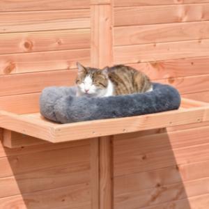 With a matching cushion, your cat can relax even more comfortably on the platform