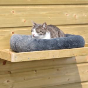 With a matching cushion, your cat can relax even more comfortably on the platform