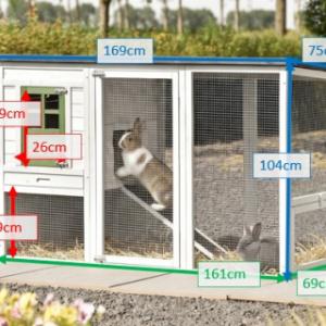 Various dimensions of the rabbit hutch Julia