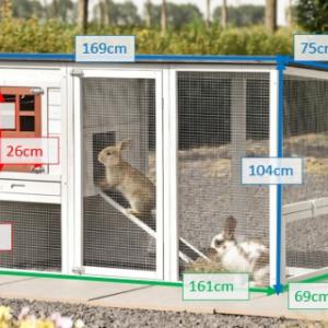 Various dimensions of the rabbit hutch Julia