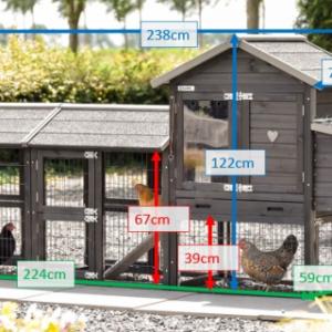 Various dimensions of the chickencoop Prestige Small