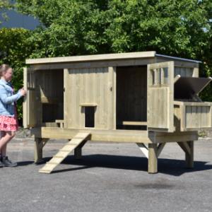 Open chicken coop doors